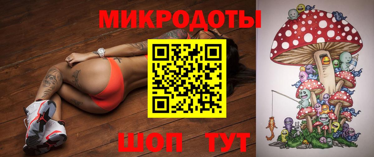 Северобайкальск  Галлюциногенные грибы Cubensis  Вход с VPN 