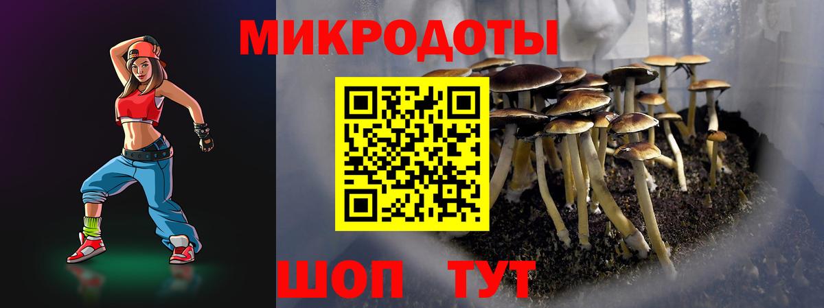 Псилоцибиновые грибы прущие грибы Северобайкальск